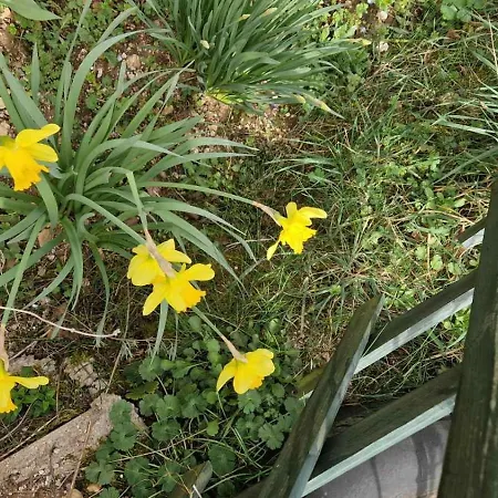 Tatil Evi Trebecaj Gardens *