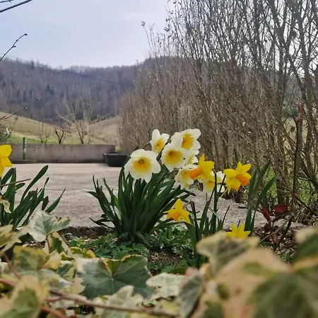 Trebecaj Gardens Trnovo