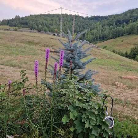 Vikendica Trebecaj Gardens Trnovo