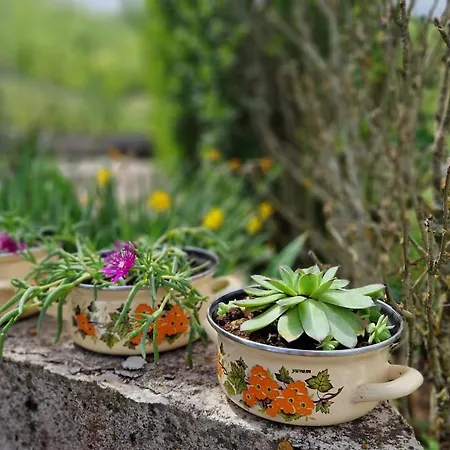 Vikendica Trebecaj Gardens Trnovo