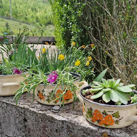 Trebecaj Gardens Trnovo
